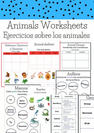 Animals Unit: vertebrates, herbivore, mammals/ Animales: vertebrados, herbívoro